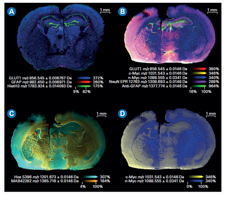 Composite color plots of extracted ion images.