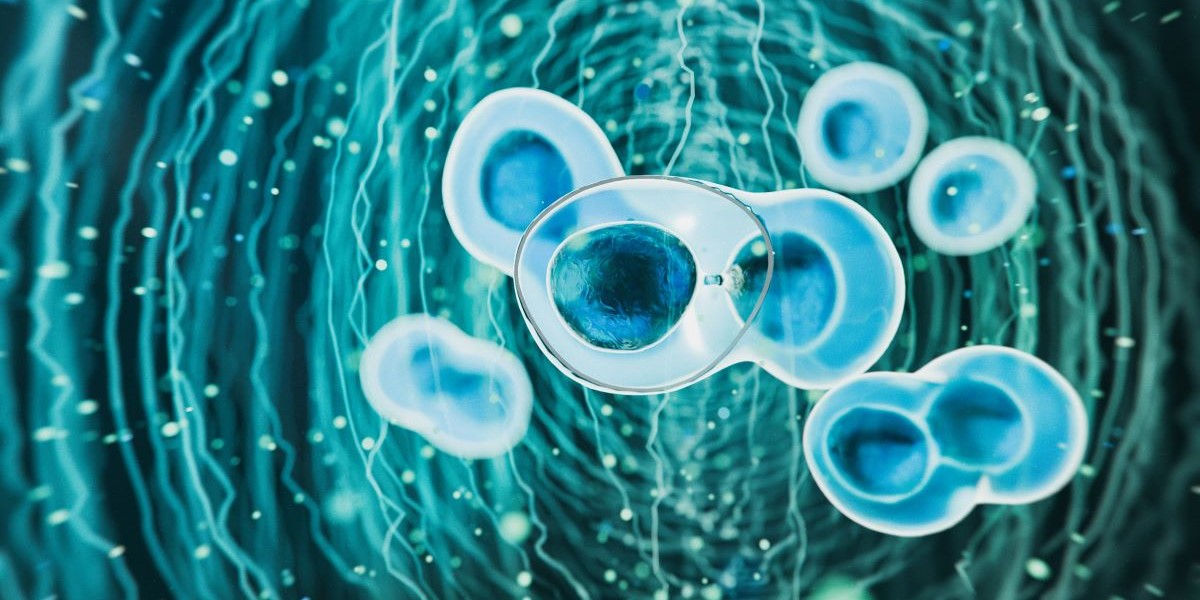 Machine Learning & UV Spectroscopy Enhance Detection in Cell Therapies